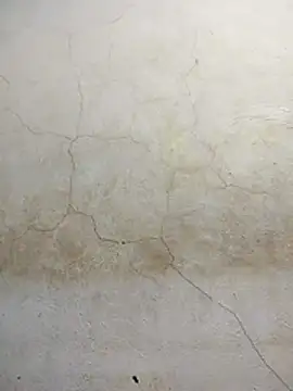 wet_babexxx from StripChat is Freechat