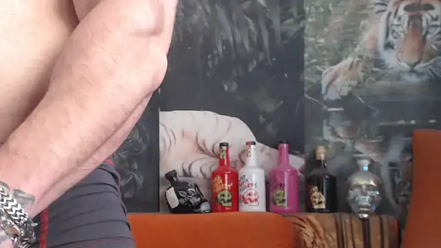 viking_30 (Ask my age) - #balds #bears #big-cocks #bisexuals #cam2cam #daddies #dirty-talk #gagging #hairy #hd #humiliation #masturbation #middle-priced-privates #muscular #recordable-privates #recordable-publics #romanian #sexting #small-audience #smoking #striptease #uncut #white