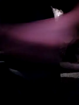 mrwinsalot88 Live Webcam on Stripchat