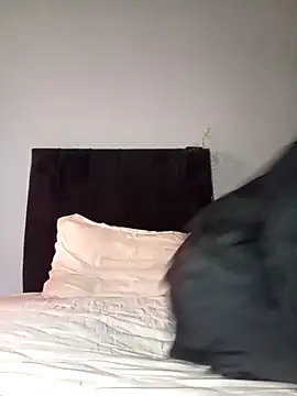 milan-88 (F milf) - تجليييخ نااار🔥