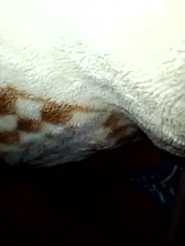 january256 - January256's free webcam - UK Sex Cams