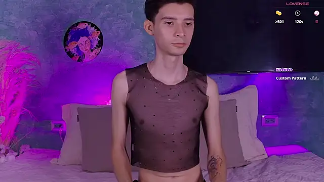 vicenteferrer - VicenteFerrer's free webcam