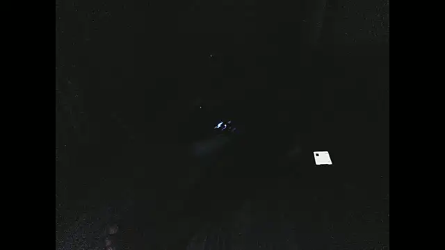 anthonyroth - Anthonyroth's free webcam