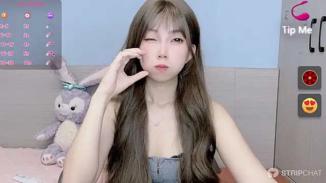 Fortune Pz (Fortune-PZ)