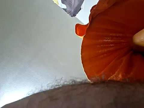 pena633 - Pena633's free webcam - UK Sex Cams