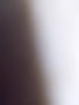 Bangladeshi_Big_male