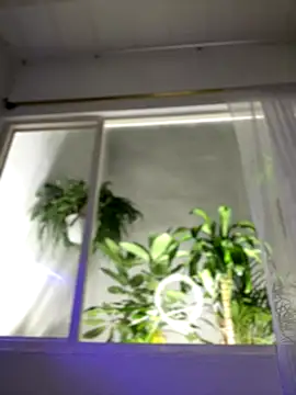 Afbeelding van Emaa-