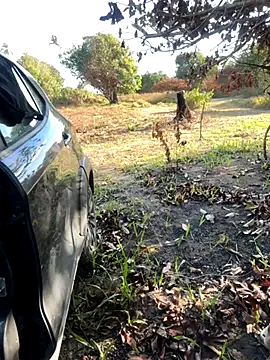 CasadoLutadorBigStuds