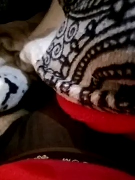 dilbar049 - Dilbar049's free webcam - UK Sex Cams