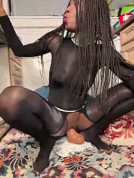 SolaeuftderbrauneHase