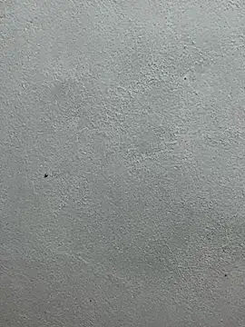 qinejr37 xxx live show