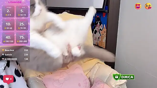 anran666 (F young) - 30日晚首场cos王子秀