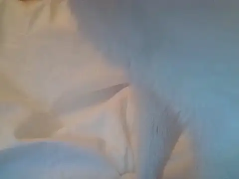 RealLittleRedRidingHood