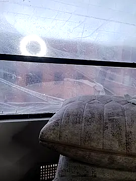 istthalexa live cam screenshot female from Colombia on Gratis Show – Free Live Cams