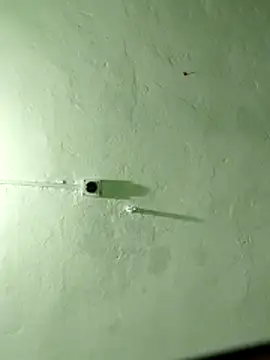 RADHAHO Hottest Webcams