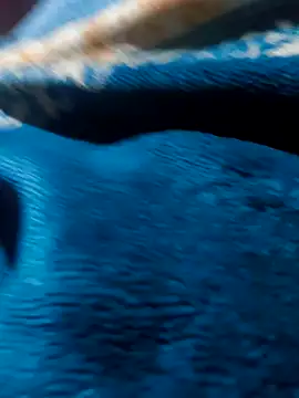 spencer88596 (M twink) - #bengali #big-cocks #black-hair #cam2cam #cheapest-privates #doggy-style #ejaculation #hd #hindi #indian #massage #masturbation #mobile #skinny #small-audience #straight #striptease #twinks