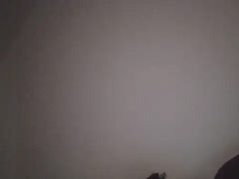 Fallen Devil (FallenDevil)