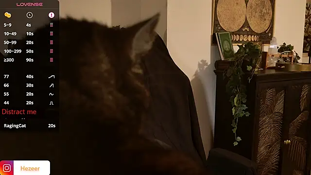 Musculus6 Live Webcam on Stripchat