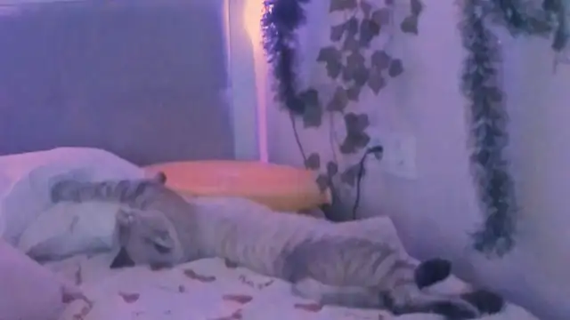 yuna_loon - Yuna_loon's free webcam