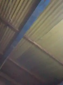 daniel_traviexxxo (G teen) - Suck cock