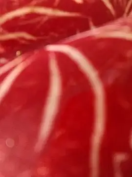 na_shreya (F young) - #anal #anal-doggy-style #anal-fingering #anal-indian #anal-petite #anal-young #cam2cam #cheapest-privates #cheapest-privates-indian #cheapest-privates-young #doggy-style #fingering #fingering-indian #fingering-young #indian #indian-young #mobile #mobile-young #most-affordable-cam2cam #outdoor #petite #petite-indian #petite-young #young