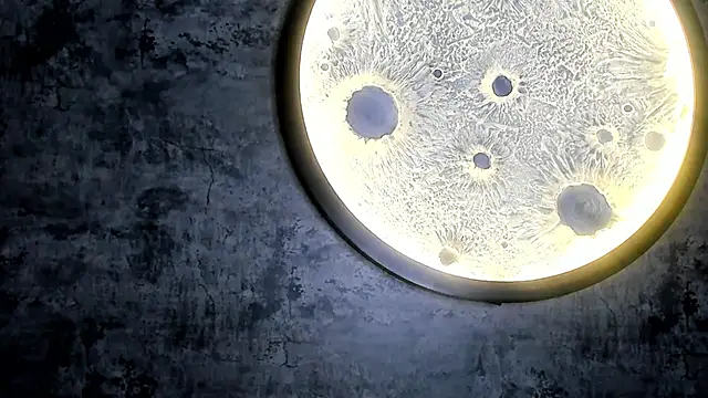 scarlett_46 (F teen) - fingerin pussy