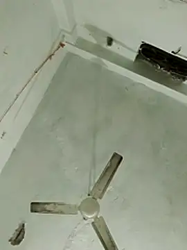 saaniya (F young) - Pussy show