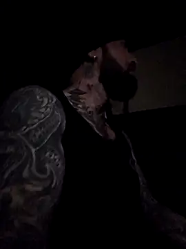 Beardedtattood Live Webcam on Stripchat