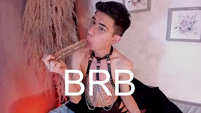 dads_rider (M young) - dildo in the ass