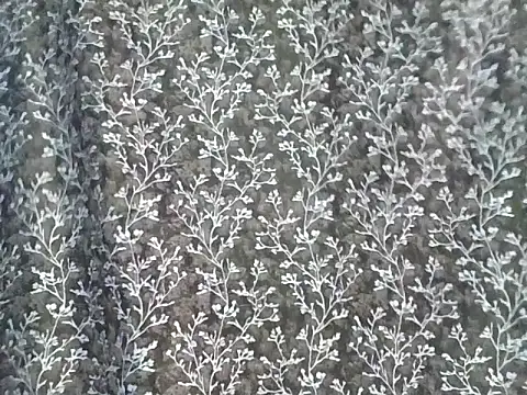 frah_jaan (F young) - pussy show