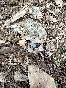 sikici0734 (M young) - #cam2cam #cheap-privates #dirty-talk #ejaculation #foot-fetish #jerk-off-instruction #masturbation #medium #mobile #oil-show #outdoor #penis-ring #sexting #shower #small-audience #straight #white #young