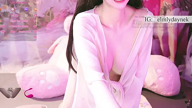 anytoly - Anytoly's free webcam