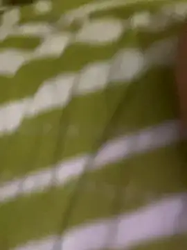 sexyboobs21d (Ask my age) - Highest tipper=control link