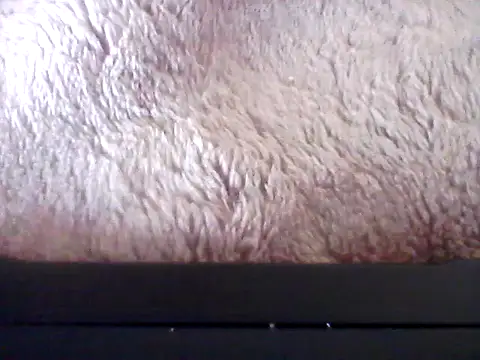 bogbosdick (Ask my age) - Be naughty