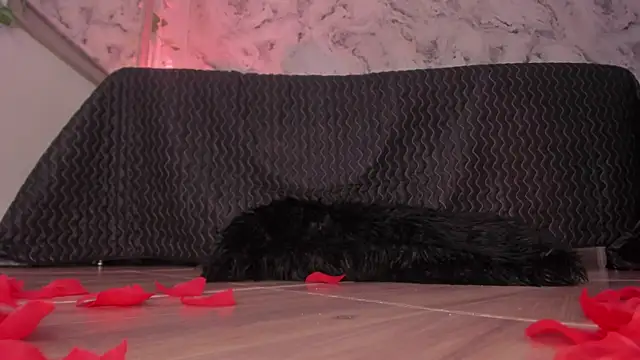 bella_desi_ - Bella_desi_'s free webcam