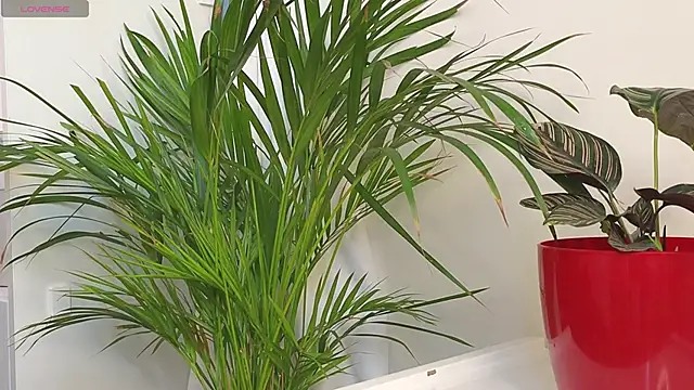 tommyfoxboy (M twink) - four fingers in your ass tommmy!