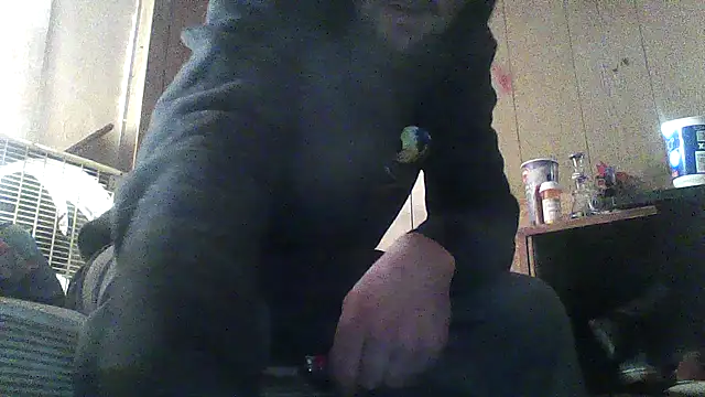 luke_thighwalker2469