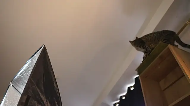 emi_latingirl (F teen) - fuck machine(squirt)