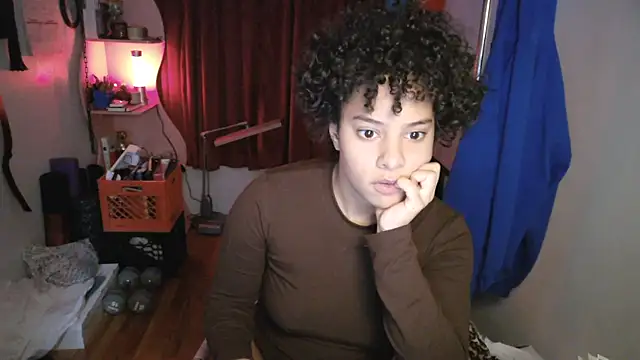 PrettyLittleProblem webcam