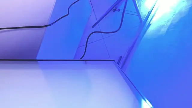 Roxanedewalle webcam