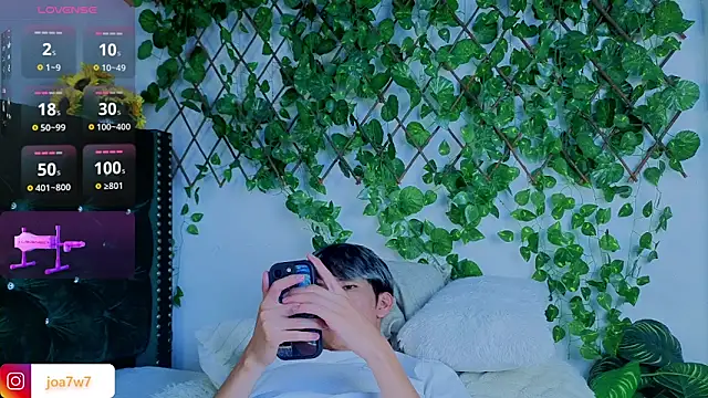 Levii_Ackermann webcam