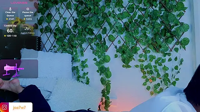 Levii_Ackermann webcam