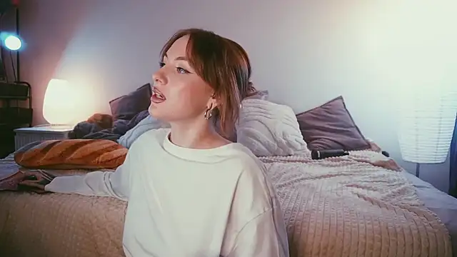 STANOVAYA300KG webcam