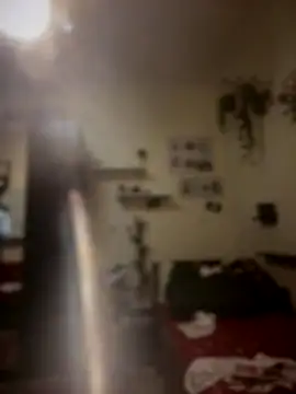 arabian_pharaon webcam