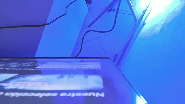 Roxanedewalle webcam