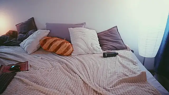 STANOVAYA300KG webcam