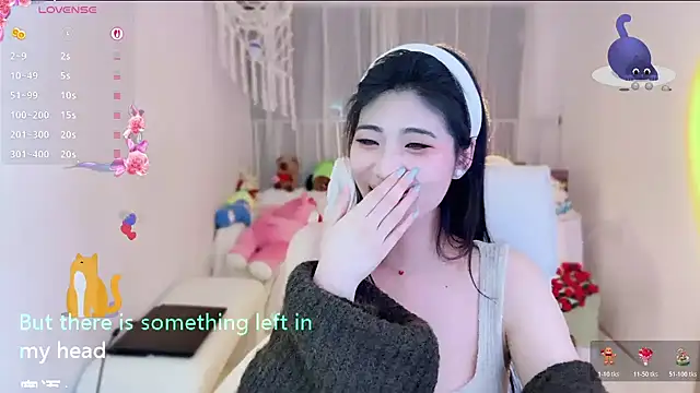 Vaidurya-Yolo webcam