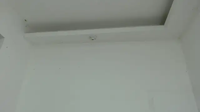 marilynbeautifullyhairy