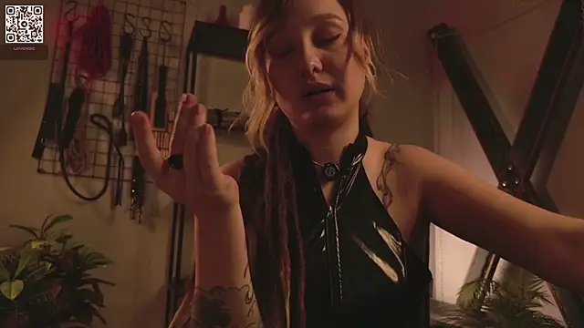 VortexProject webcam