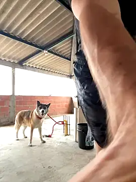 AlexanderBianchi2 webcam